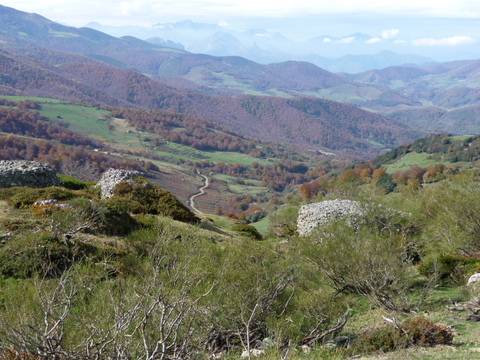 foto11