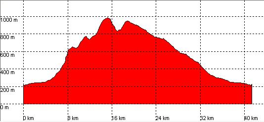 ruta 21 perfil