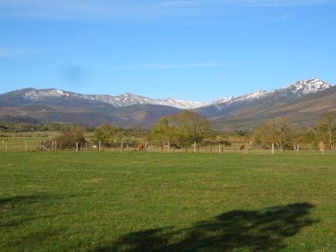 foto1