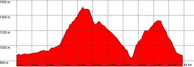 perfil ruta 38a