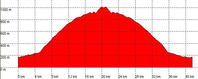 Perfil ruta 51a