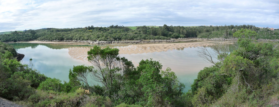 R&iacute;a de Ajo