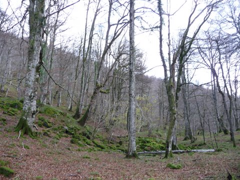 foto 17