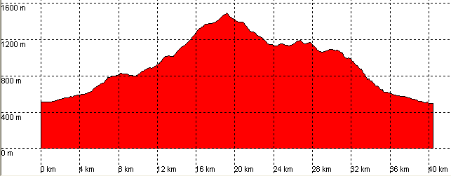 perfil ruta 07a