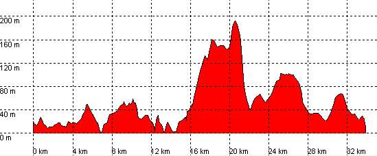 perfil ruta 37