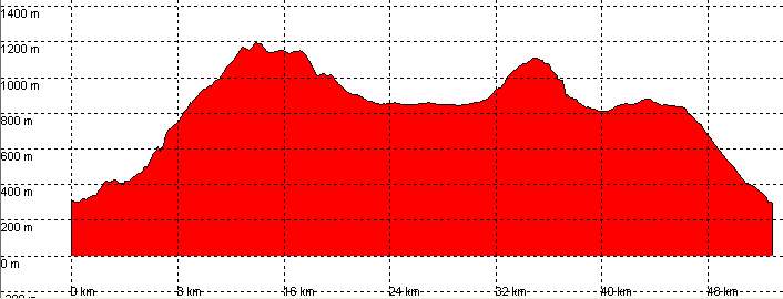 perfil ruta 44