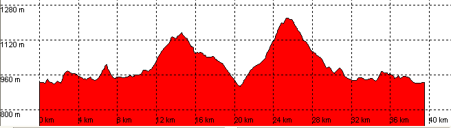 perfil ruta 119